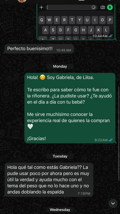 Riñonera Portabebé Liloa